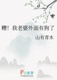 糟!我老婆外面有狗了